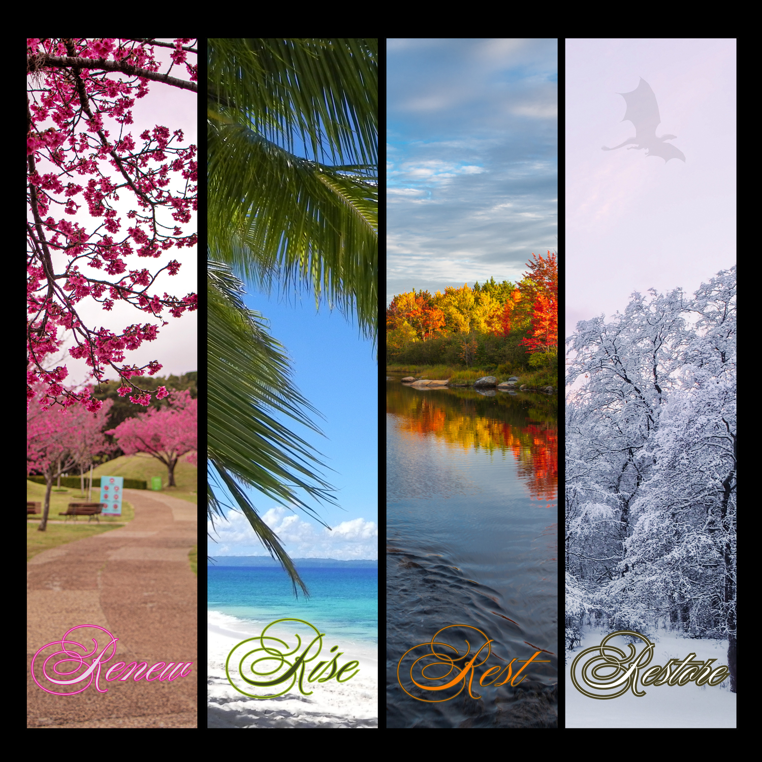 HOLIDAY & SEASONAL DECOR